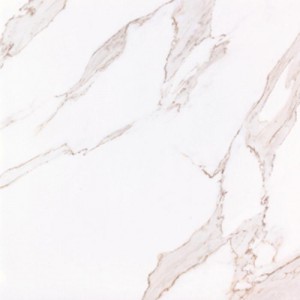 Gạch lát sàn Trường Thịnh WHITE ELEGANCE TT66101